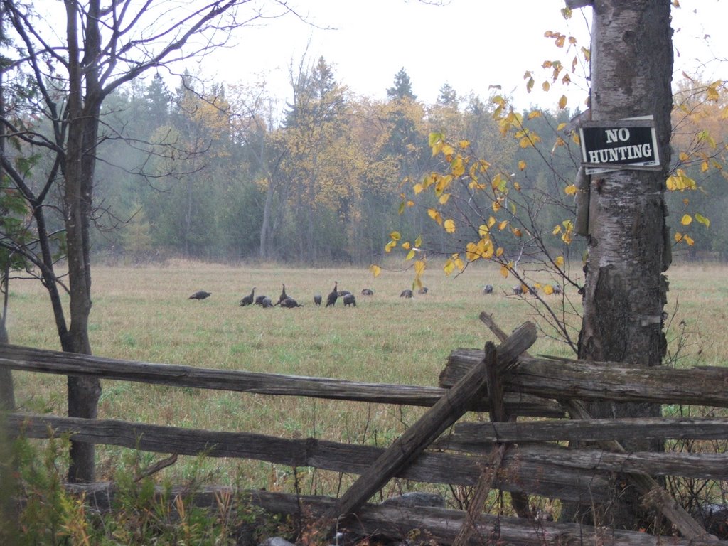 First day hunting by Pidge