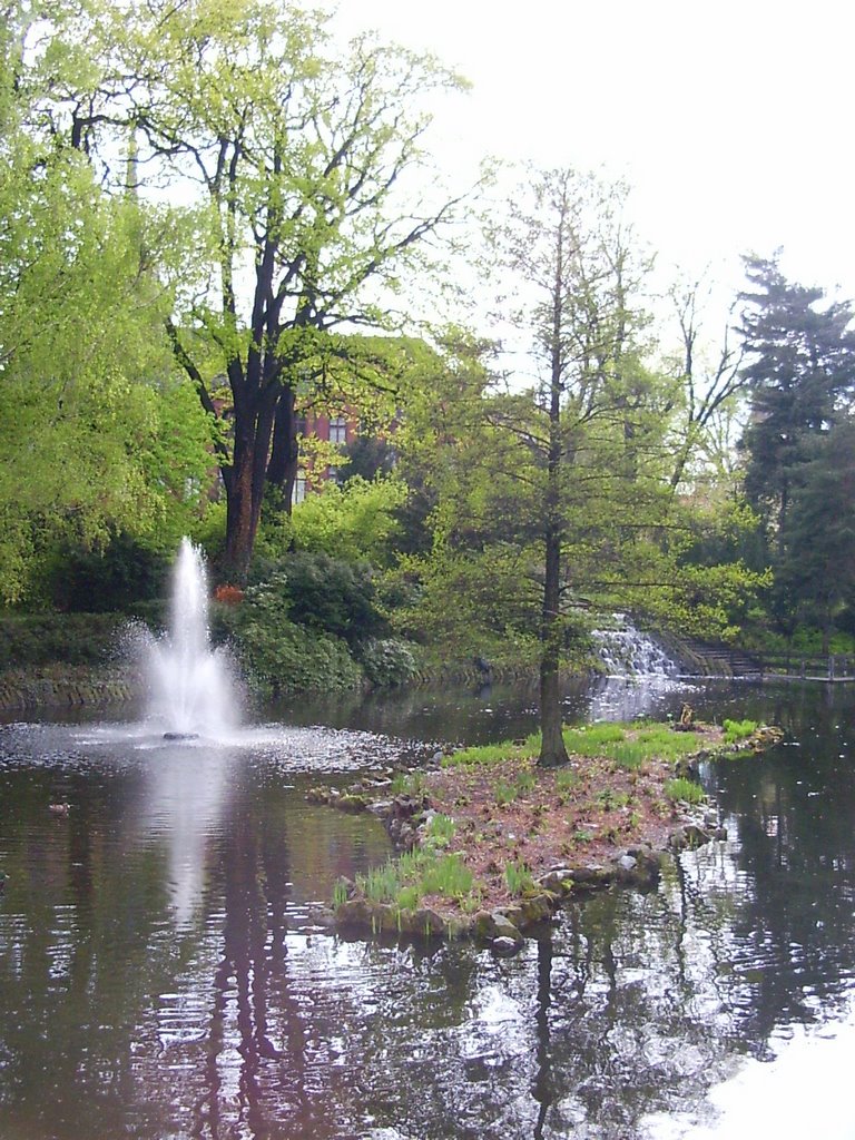 Widok na staw - Inselchen im Teich by Panzerknacker