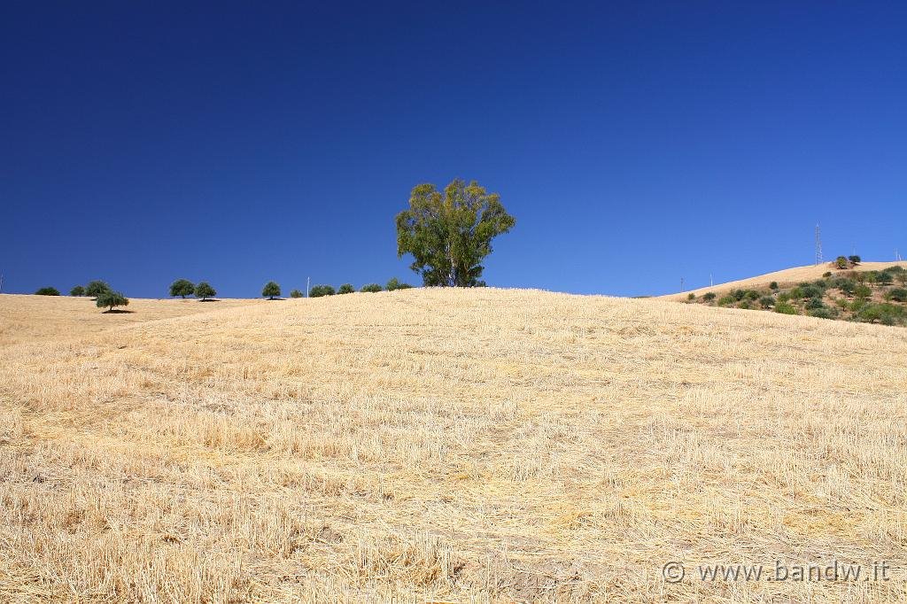 Sicilian landscape by www.bandw.it