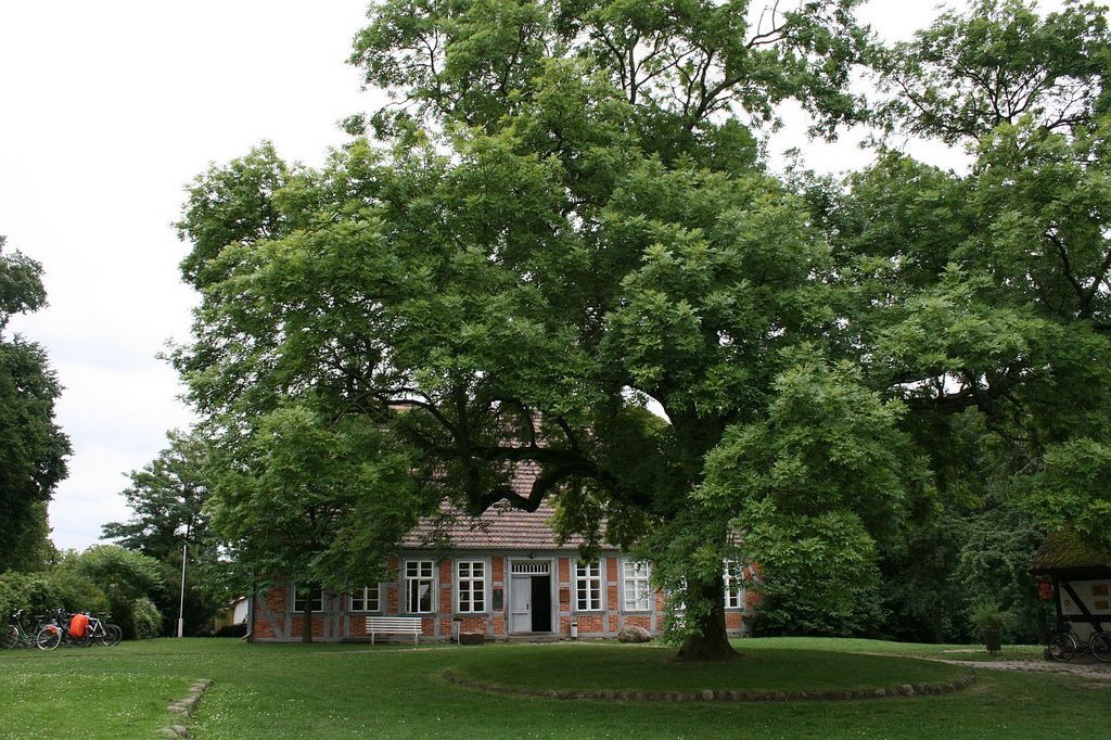 Deutschland, Ankershagen, Geburtshaus von Hr. Schliemann, Museum zu seinen Ausgrabungen, August 2008 by MRohleder