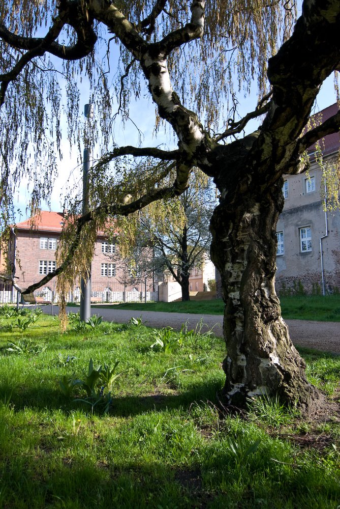 Schlosspark Finsterwalde by fotovex