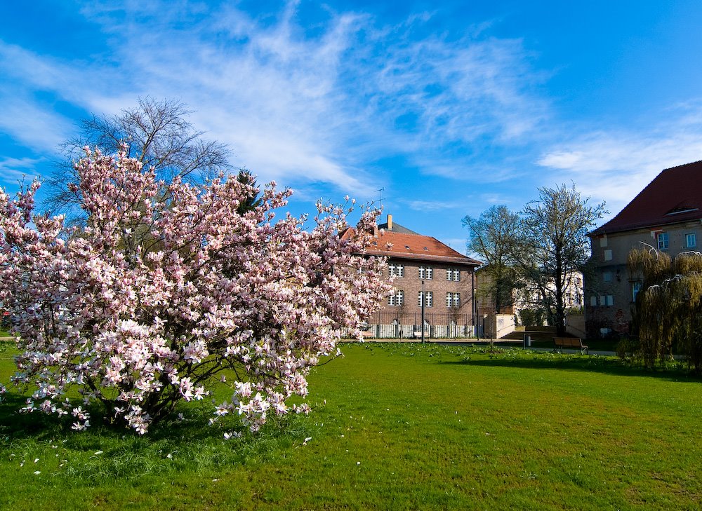 Schlosspark Finsterwalde by fotovex