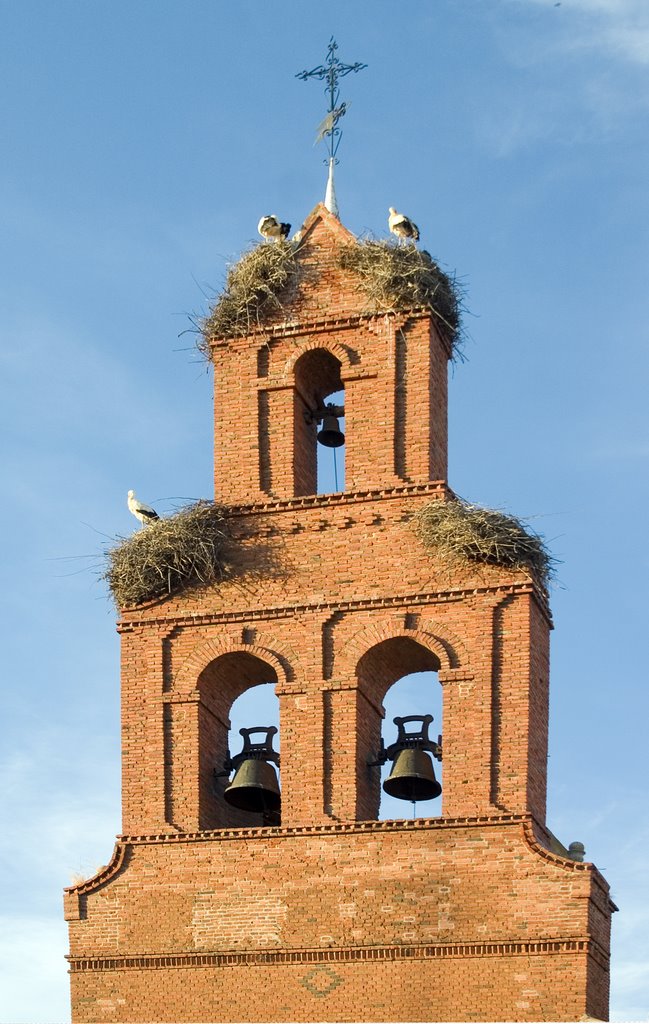 Antoñan_cigüeñas en la Torre de la iglesia by Laura Sayalero