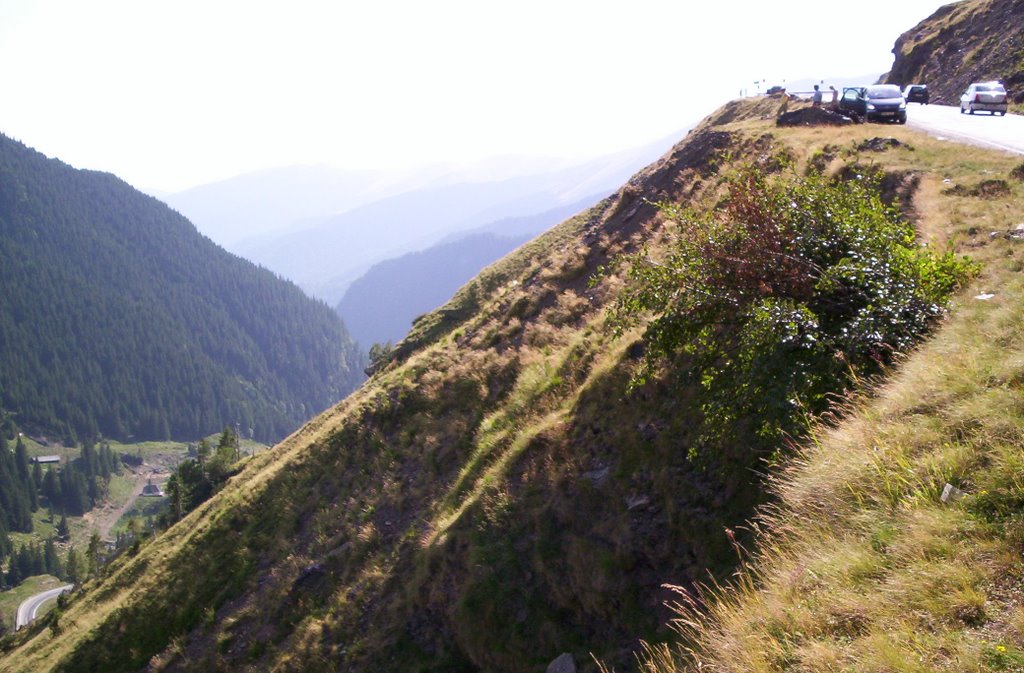 Transfagarasan by Trulee