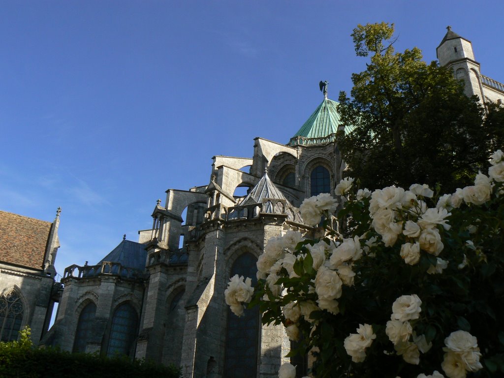 Chartres by Claudio Nosotti