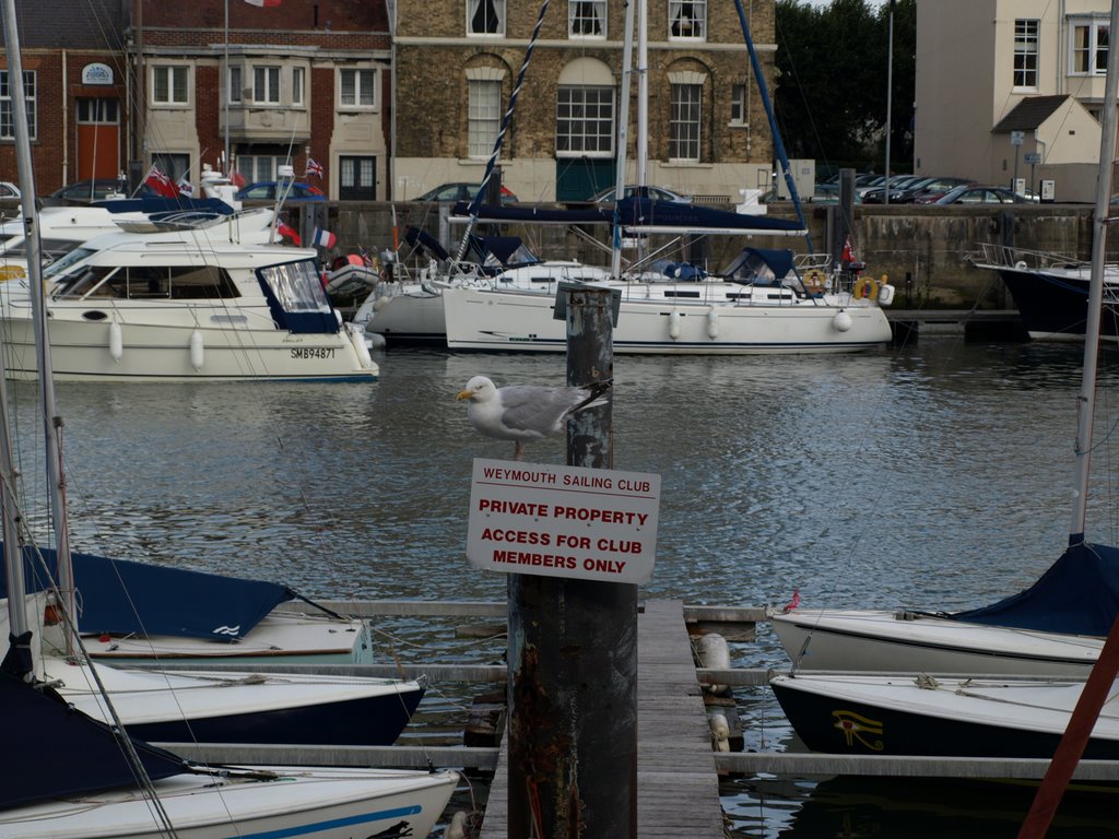 A Sailing Club Member.... by Balocco