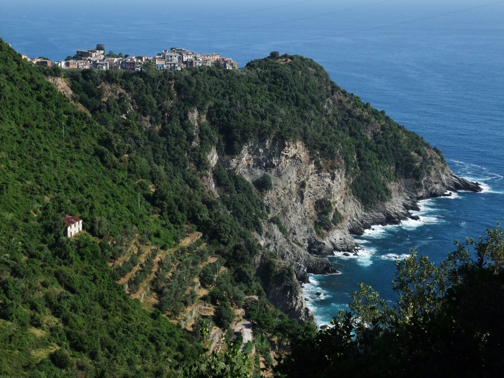 Corniglia from coastal path by Steve Barowik