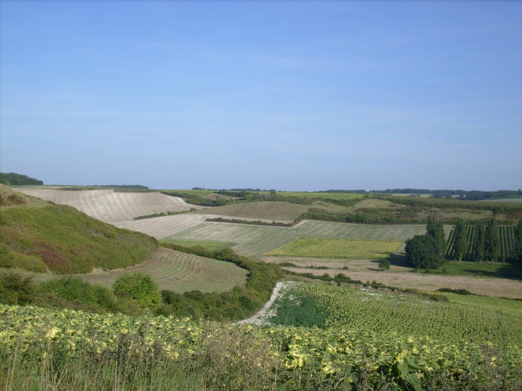 Paysage valloné près de Chenac by FrenchCobber