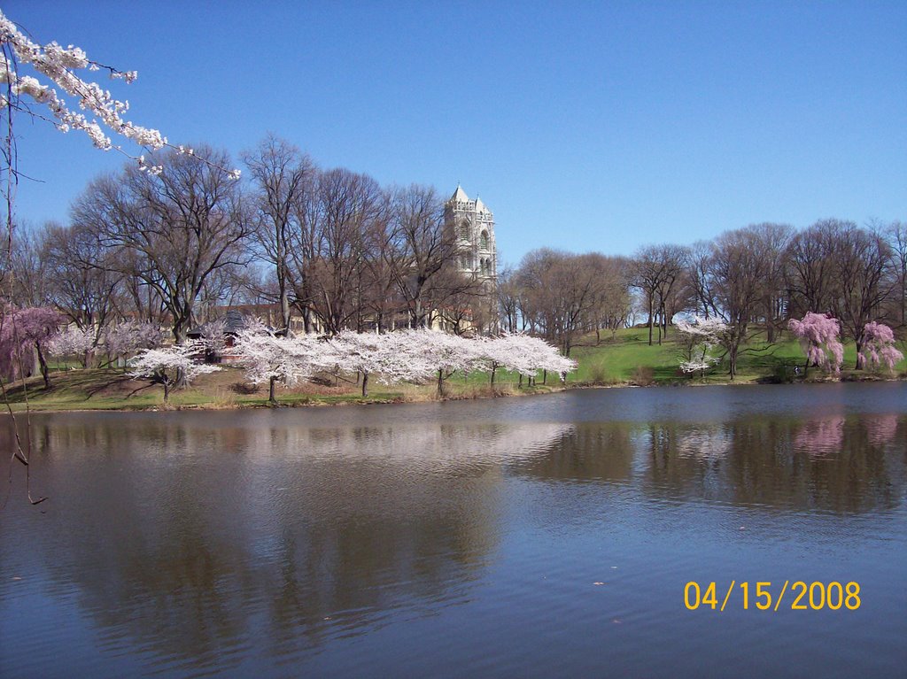 The beauty of Branch Brook Park, in April by afben