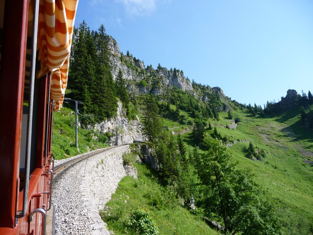 Schynige Platte train above Breitlauenen by aachenjones