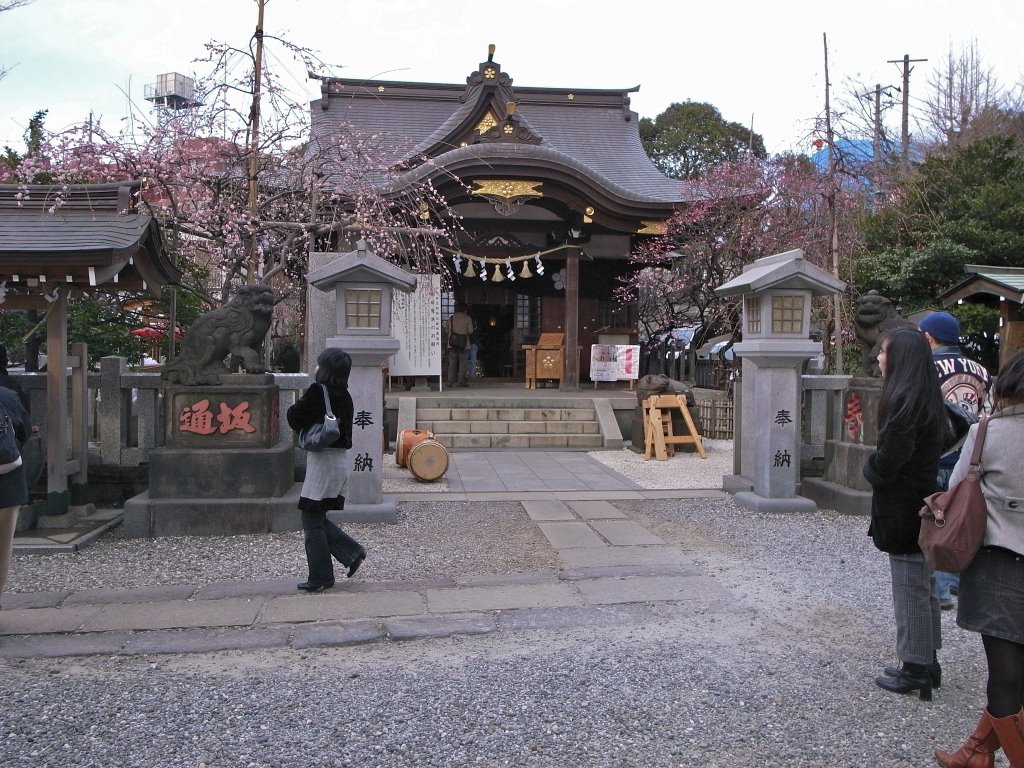 Kitano shrine by saitomo