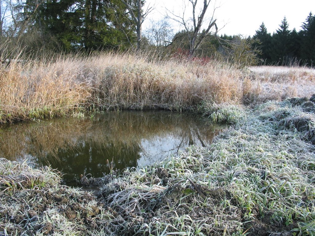 Tümpelanlage - Bund Naturschutz Marktoberdorf by Frank Stolzer