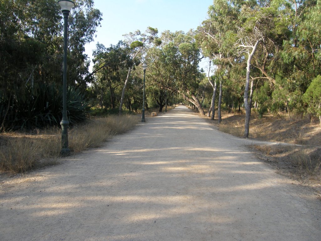 Parque Alfonso XIII by Buquet