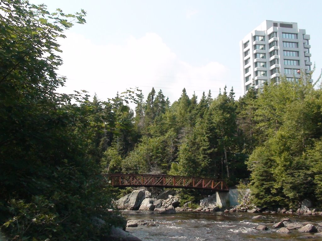 Corner Brook Stream with the Sir Richard Squires Bld Aug 2008 by {oroka}