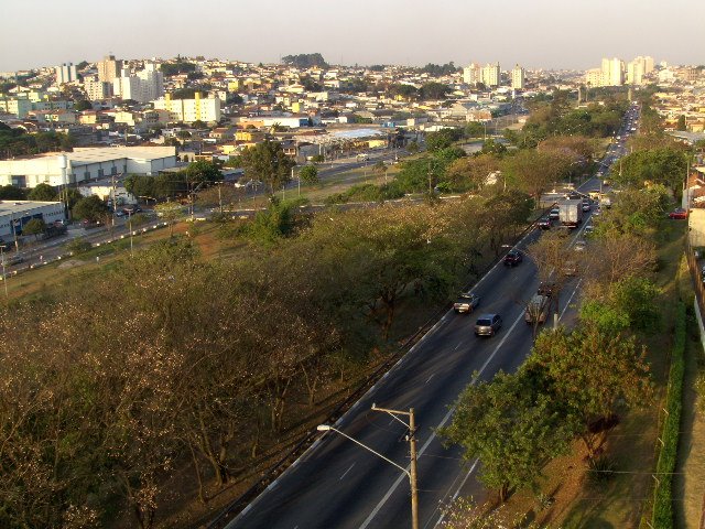 Av.Gov.Carvalho Pinto by walter csm