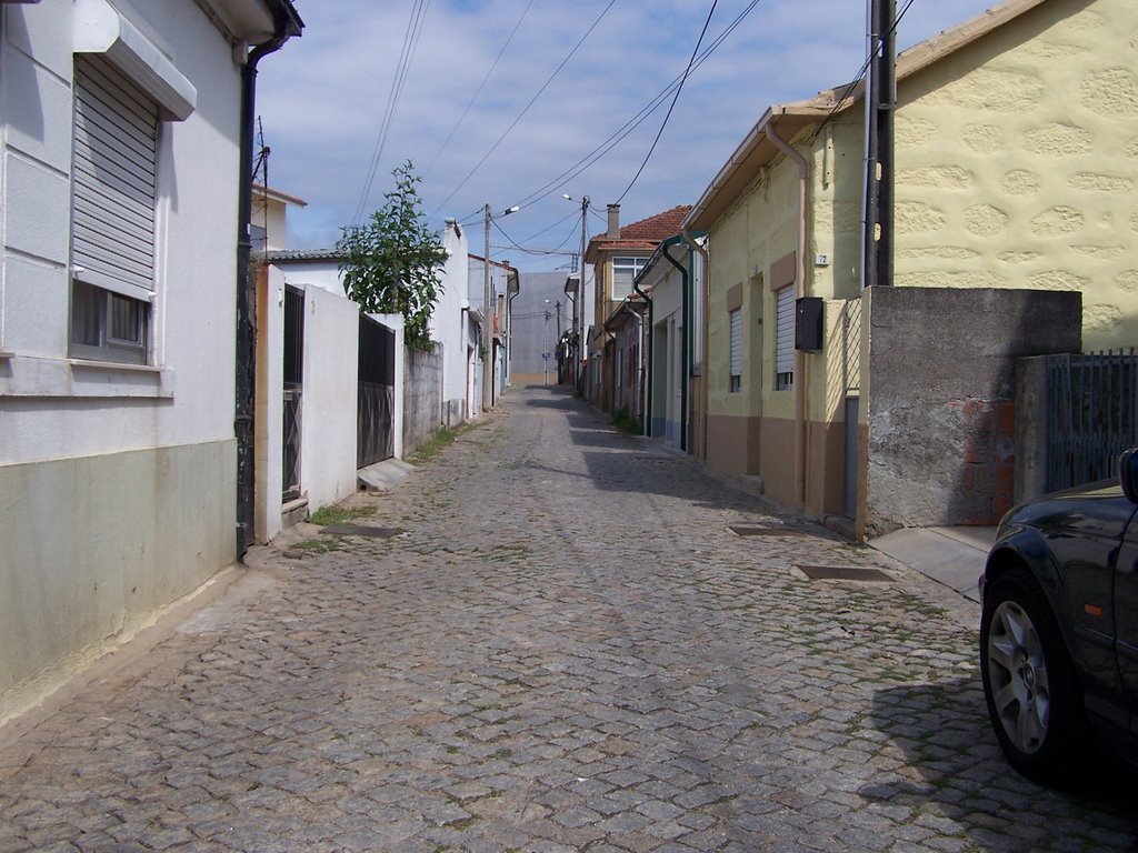 Rua Nova da Formiga by frvilela