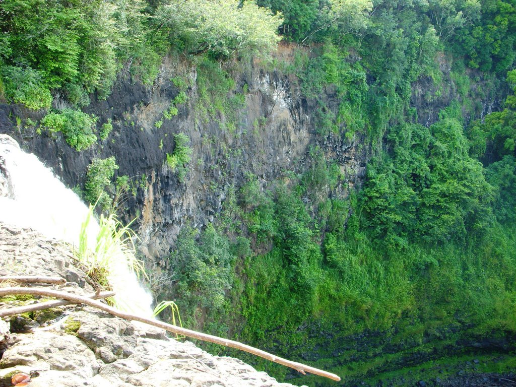 Atop Wailua Falls by tmhastings