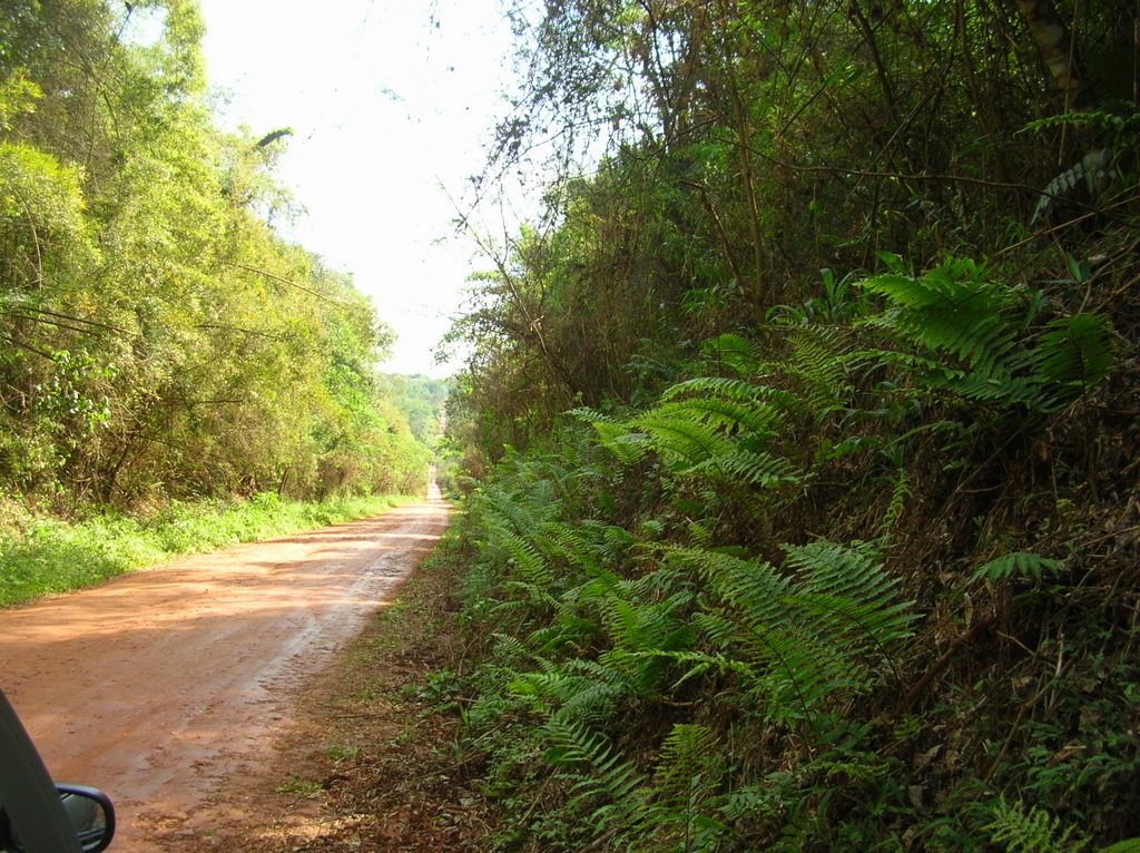 Parque Nacional Iguazú by Pato Soto - Tanti