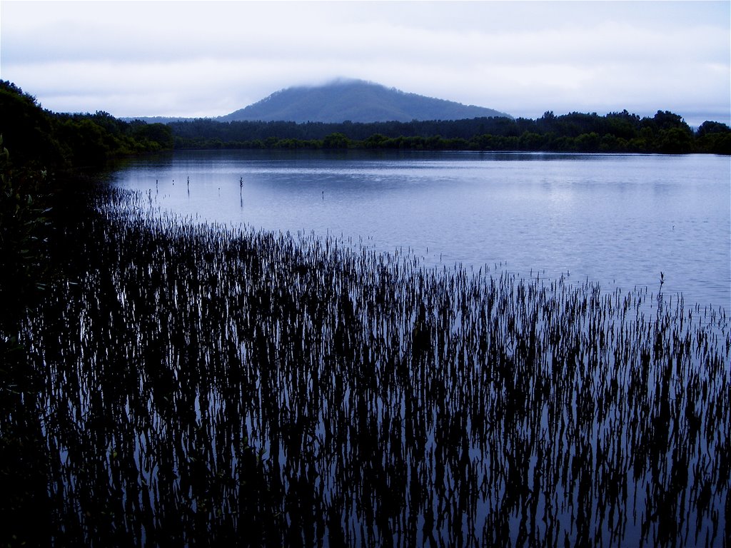 Mt Coolangatta by David Gribble ACS