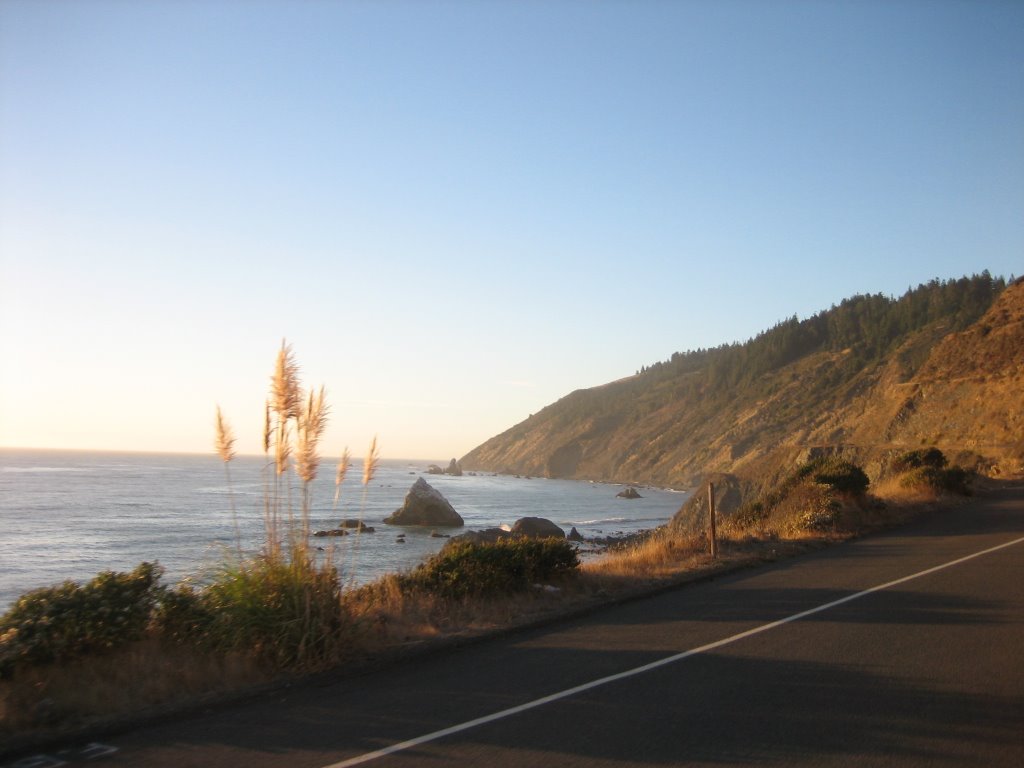 Along Hwy 1 by traviswould