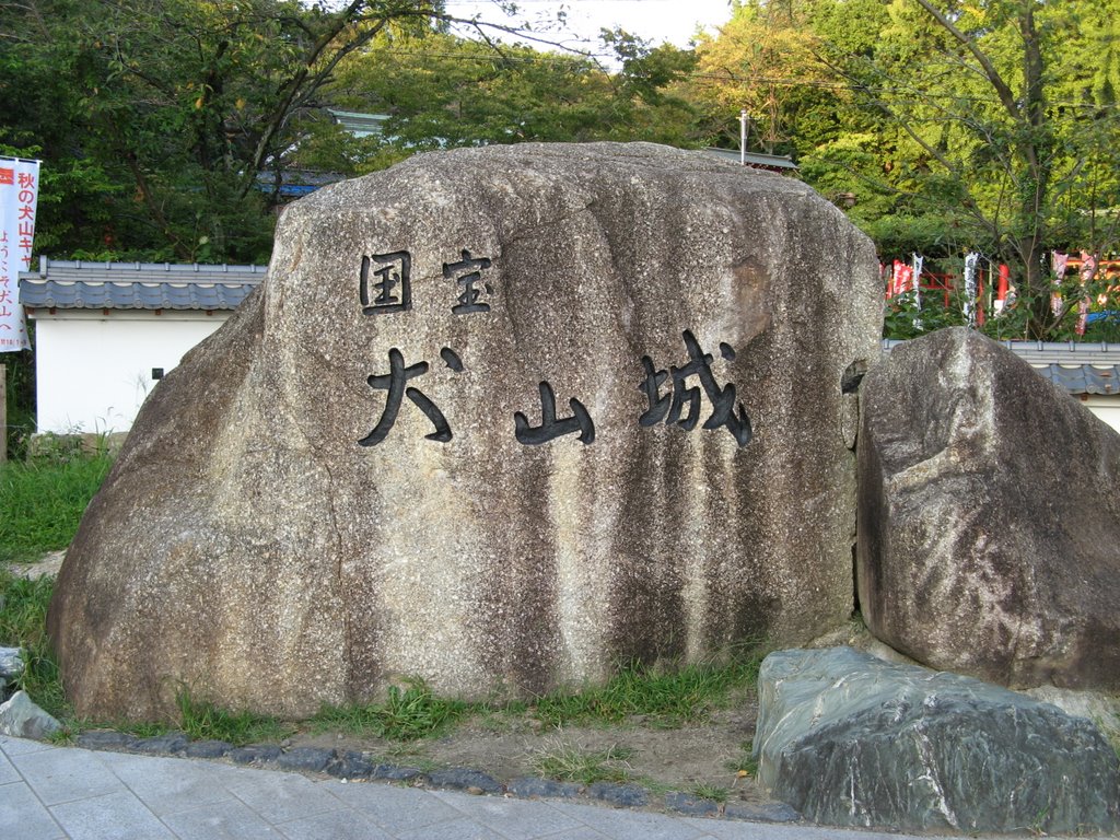 Inuyama Castle by Mochi Mochi kun