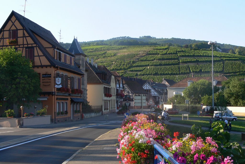 Ribeauvillé, Alsace, France by fkls