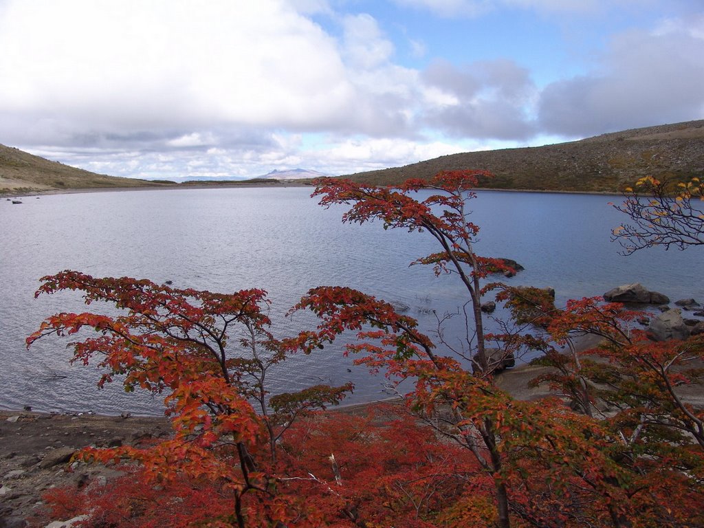 Crater Batea Mahuida (Argentina) by sacris