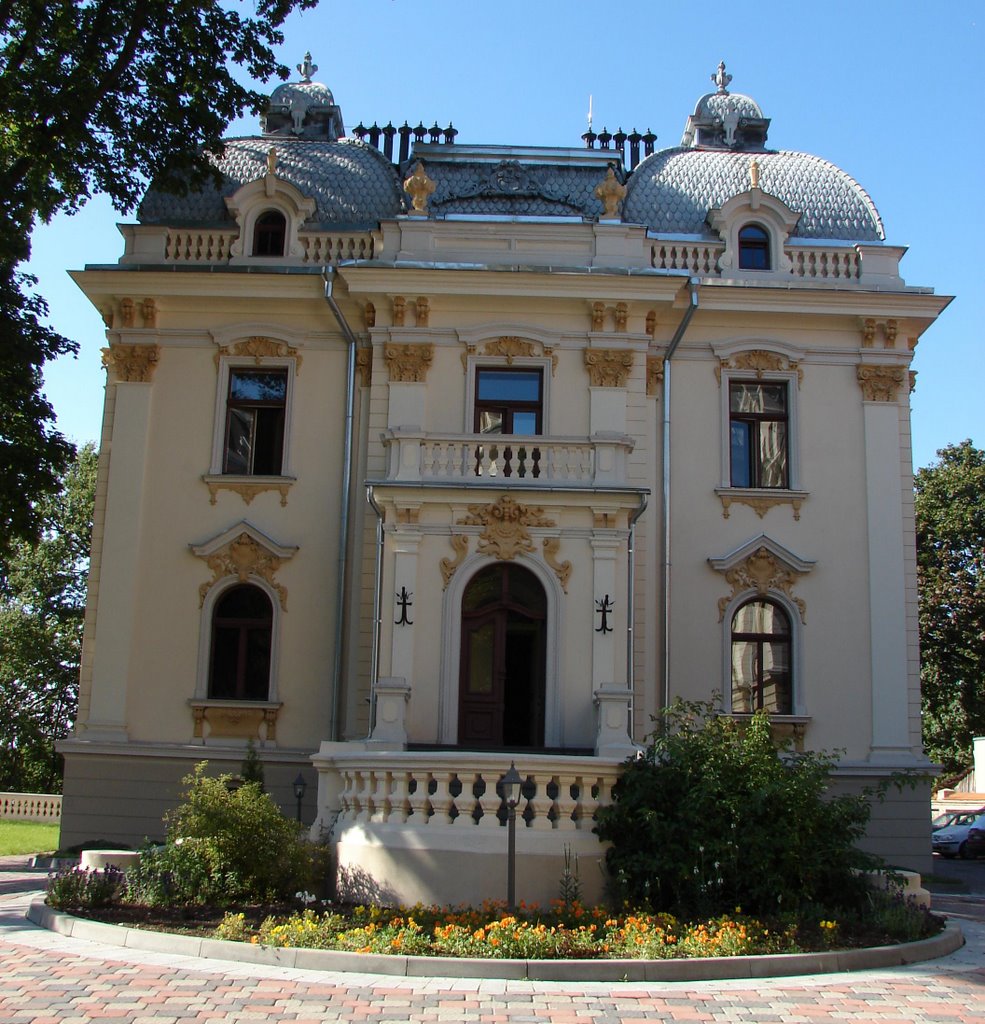 Vileišis Palace by Rimgaudas Bernotas