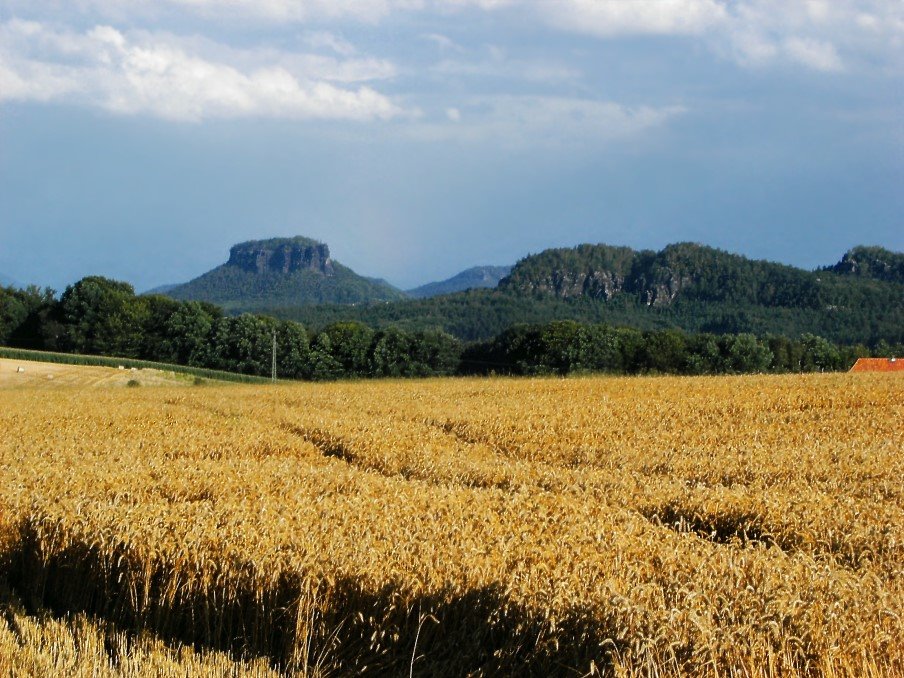 Blick zum Lilienstein by Halogucker