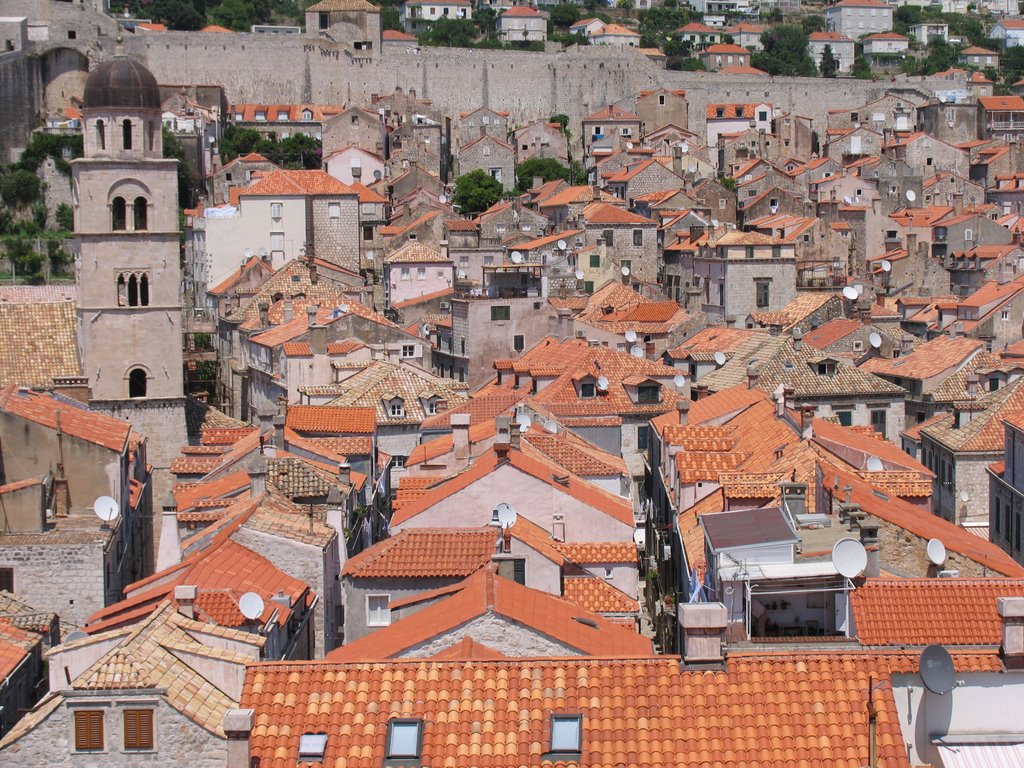 Roofs by lgusic