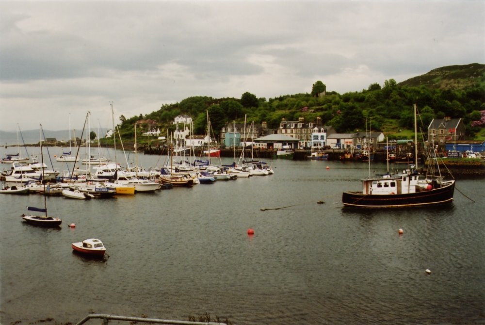 15 Tarbert by makke