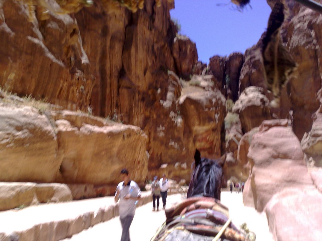 Horse Riding in Petra by Anil Kaushik