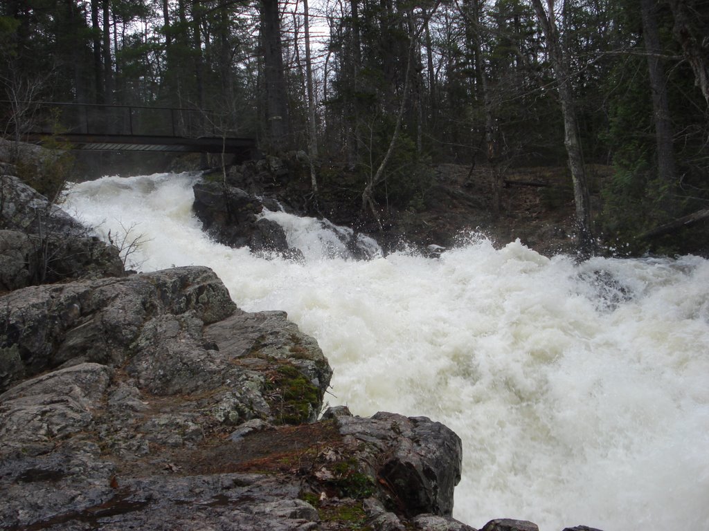 Crystal Falls in Flood by Billy Wilson