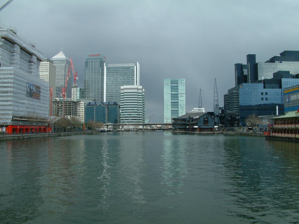 Millwall Dock by Michael Gilbey