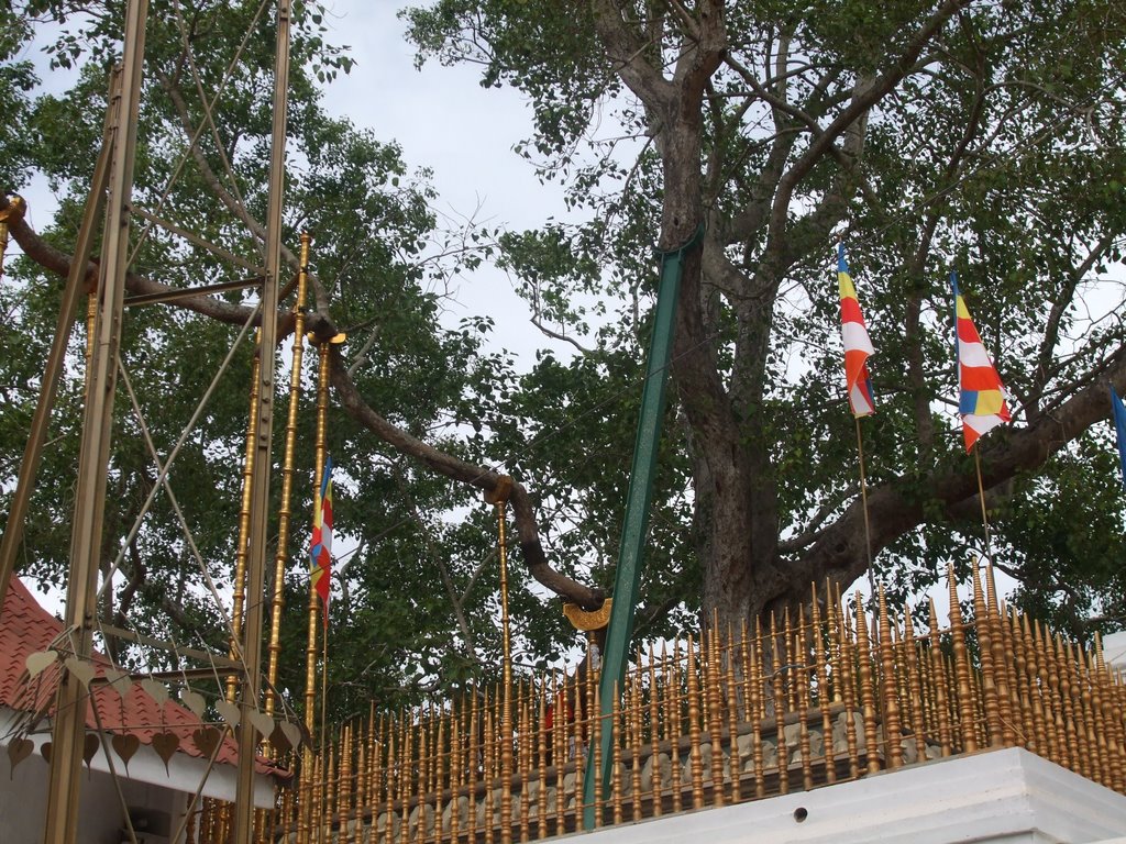 Anuradhapura, Sri Lanka by Kasun Udana Wickrama…