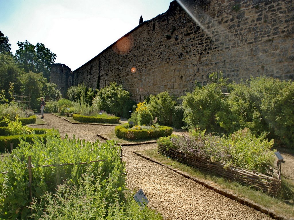 Rodemack, France 72 Garden by Qwilleran