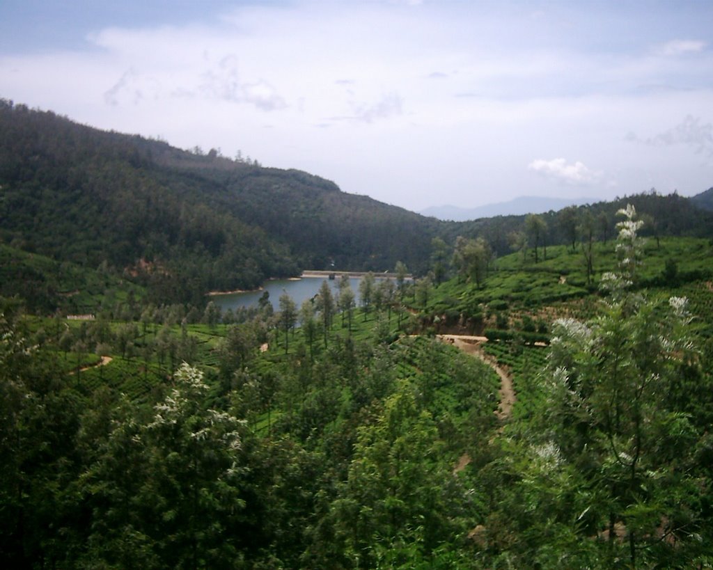 Nuwaraeliya by Romesh Goonewardena