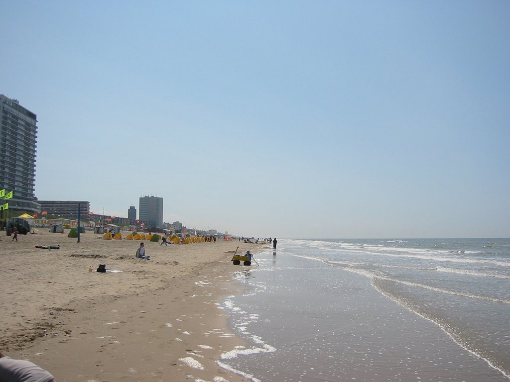 The beach at Zandvoort, Netherlands by traviswould