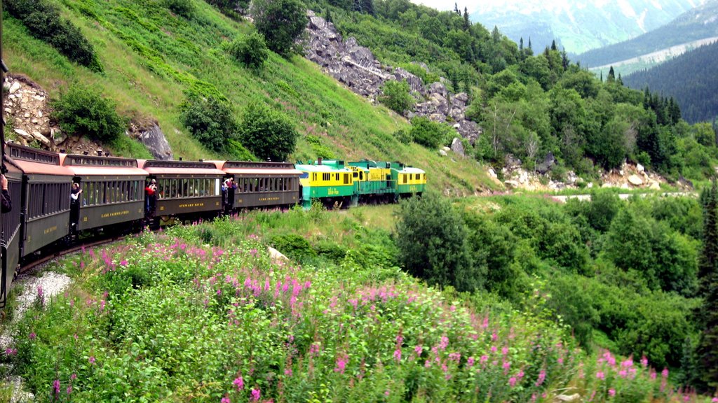 White Pass & Yukon Railroad by Werner Leuthold