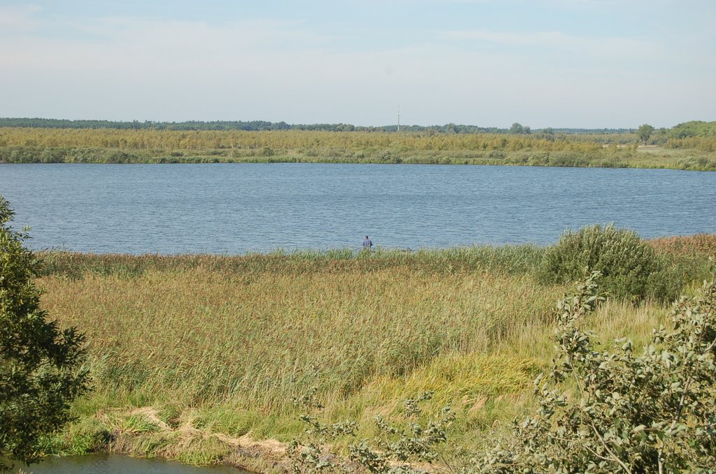 Blick vom Aussichtsturm in Ludwigshof auf den See by Markus Cleve