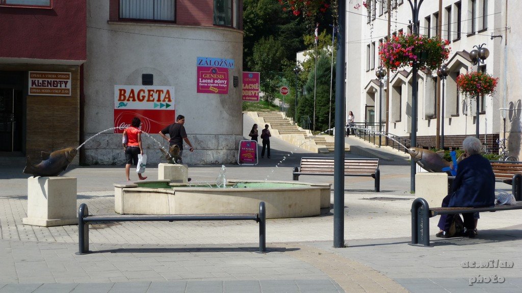 Fontana na namesti by Milan Kubina