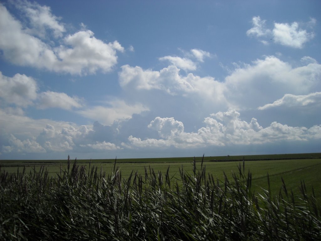 Ameland (E.Corallini) by edoardocorallini