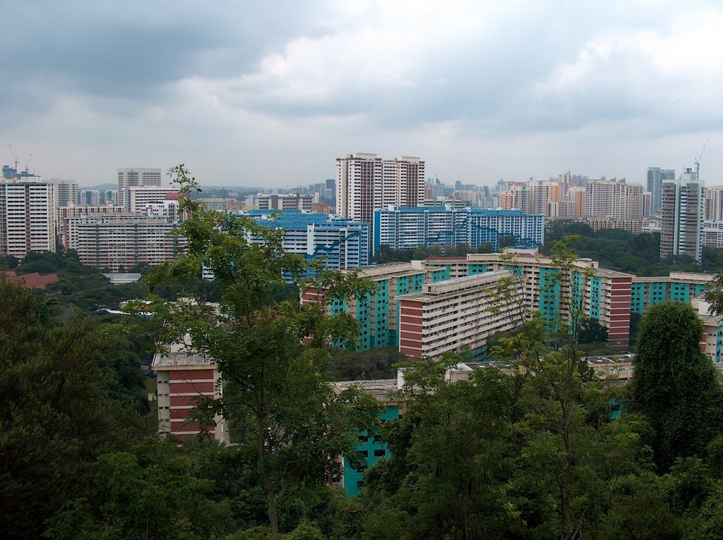 View from mt. faber by Erderwärmer