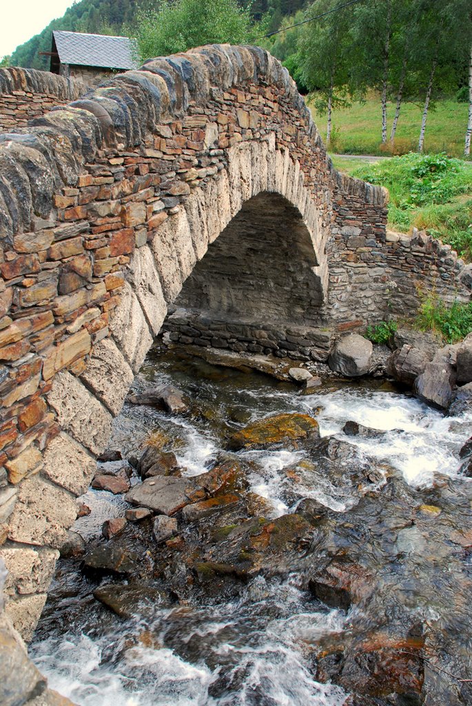 Puente románico by cperalta