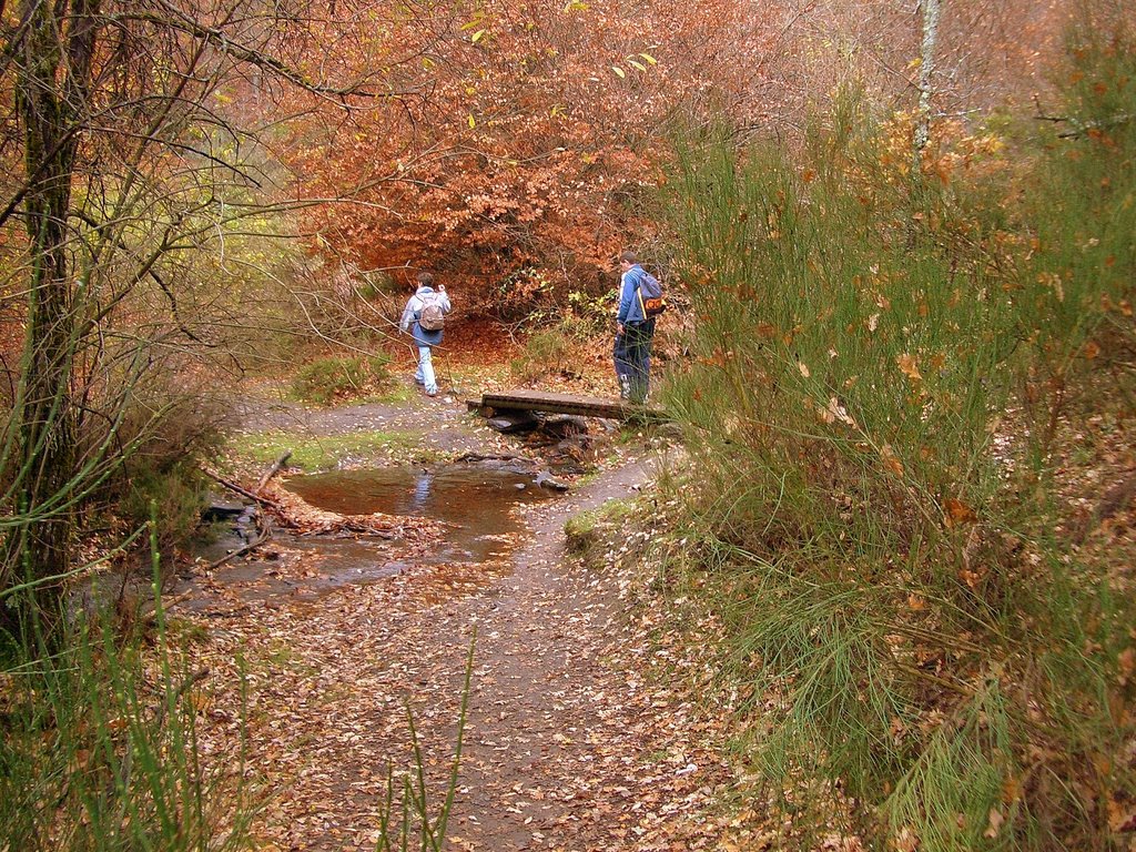 Puente sobre el arroyo de las carretas hacia la carbonera by EC-TOR