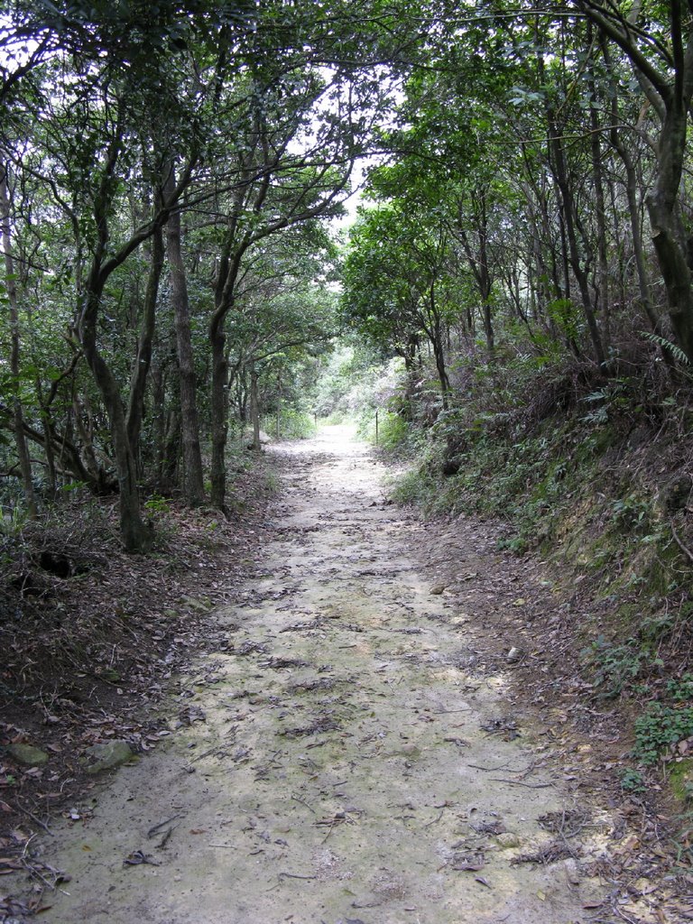 Lantau Island, Hong Kong by cheuky