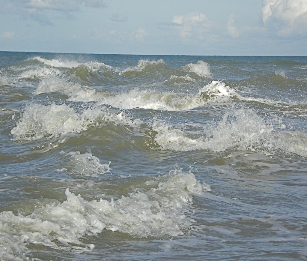 Grenen by Helle Kruuse