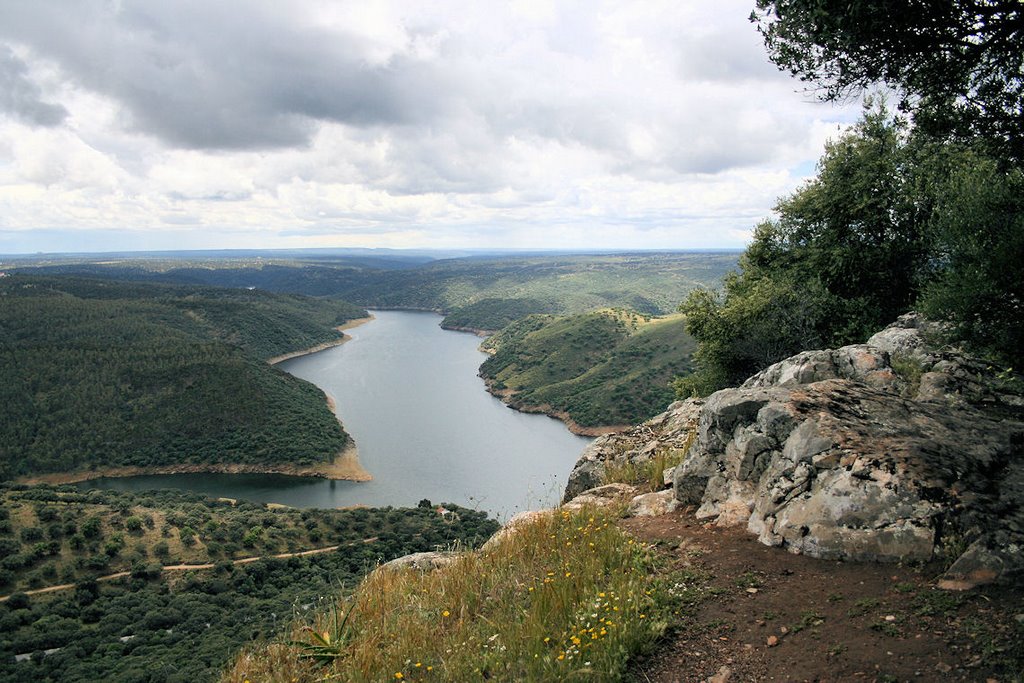 Rio Tejo no PN Monfragüe by placosta