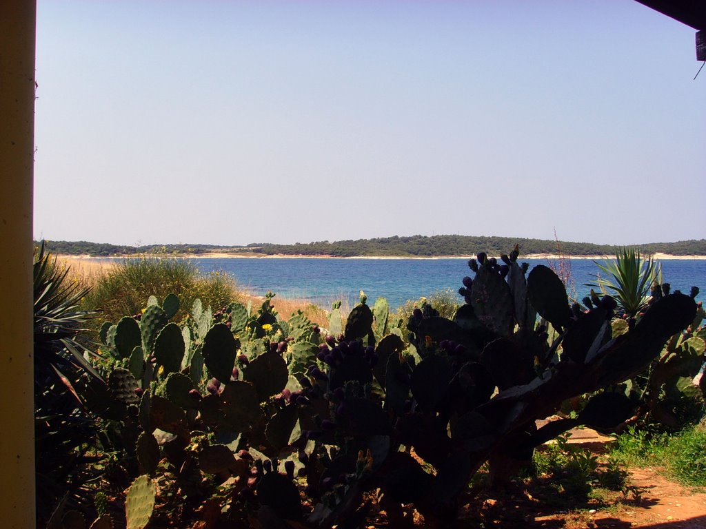 Blick von der Kaktus-Bar auf die Bucht von Medulin. WUNDERSCHÖN by arJan