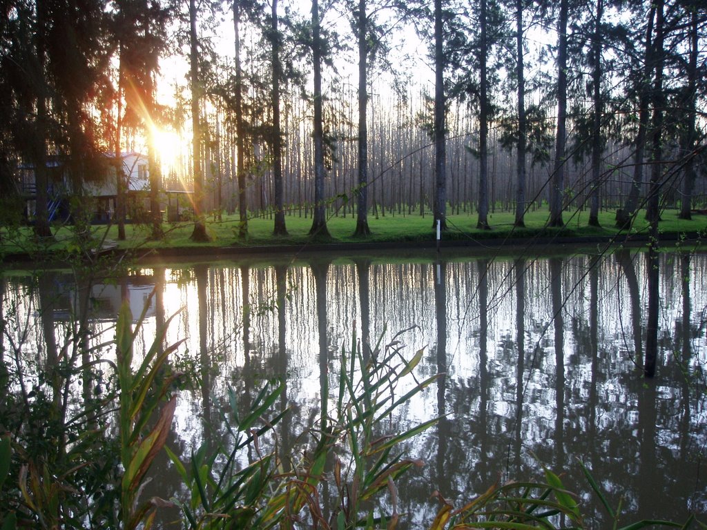 Paradies im argentinischen Delta by Suzanne Holzer